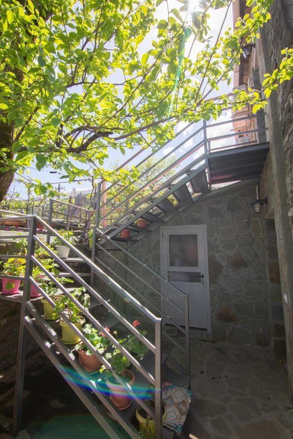 The Mosaic House - Shtepia Me Mozaik Hotel Përmet Exterior foto